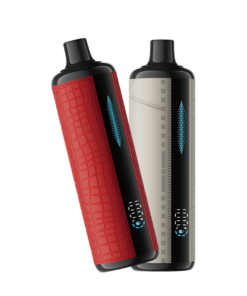 Lost Mary X Urban Tale E-hookah Disposable Vape